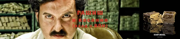 ПСИЛОЦИБИНОВЫЕ ГРИБЫ Коряжма