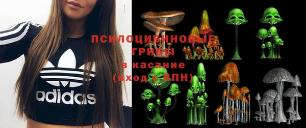 ПСИЛОЦИБИНОВЫЕ ГРИБЫ Коряжма