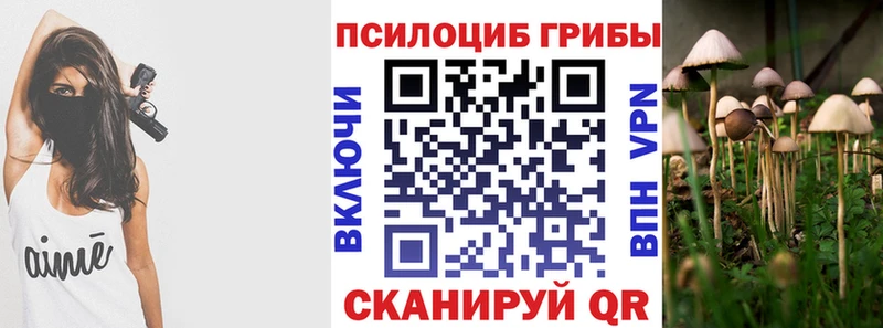 Псилоцибиновые грибы ЛСД  Купить  Дагестанские Огни 